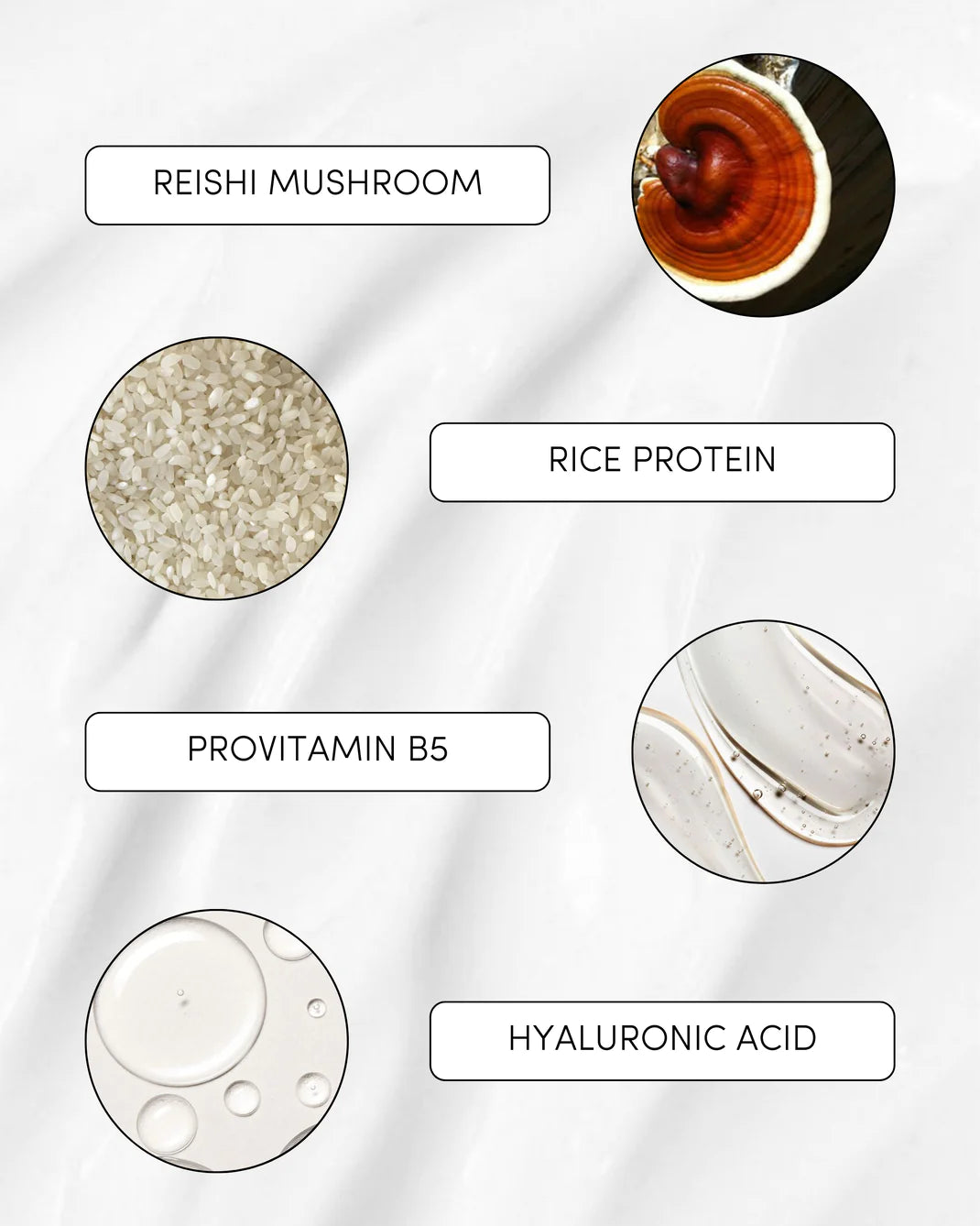 Hard Water Conditioner