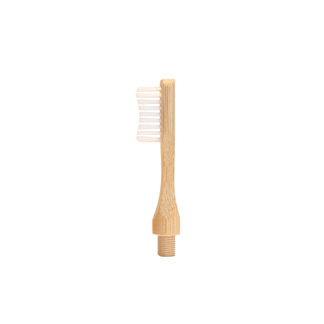 Bamboe tandenbostel koppen