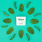 Mint & Aloe Vera Navulling